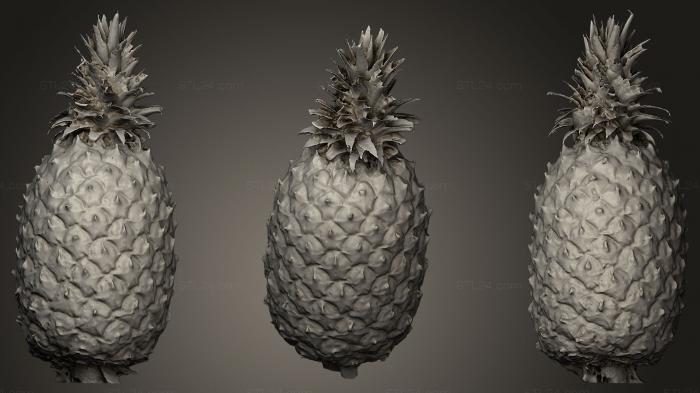 Miscellaneous figurines and statues (Pineapple, STKR_0353) 3D models for cnc